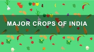 Major Crops of India  Rabi Kharif Zaid crops  Indian Agriculture Geography [upl. by Nitsyrc]