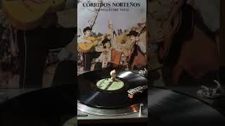 Los Reales Del Valle   Album Corridos Norteños 1975 quot ALBUM COMPLETO quot [upl. by Abelard188]