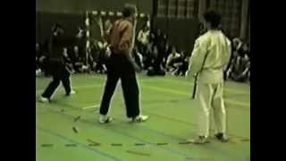 Pencak Silat VS Karate [upl. by Nidnarb]