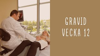 Gravid vecka 12 [upl. by Asserac202]