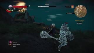 The Witcher 3  Boss Imlerith cat armor death march [upl. by Devinna742]