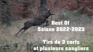 Chasse Cerfs Sangliers Chevreuils  Best Of 20222023 [upl. by Nomad659]