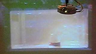 Microwaving Superheated Water [upl. by Auehsoj]