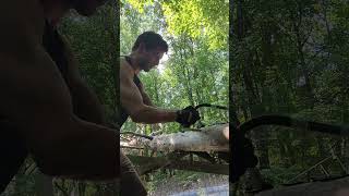 Cutting an entire tree with a Bow Saw Demo and Review bowsaw bowsaws firewood lumberjack [upl. by Skolnik]