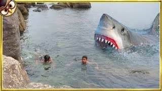 50 Scary Shark Encounters Caught On Camera [upl. by Ytitsahc]