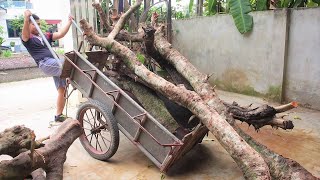 Amazing Breakthrough Woodworking Projects And Skills  Best Hardwood Tree Trunk Recycling Ideas Ever [upl. by Walli]