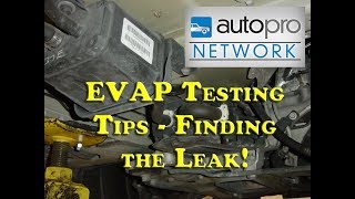 The Trainer 70  EVAP Testing Tips [upl. by Koh685]