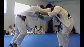 Brazilian Jiu Jitsu Demonstration [upl. by Alver]