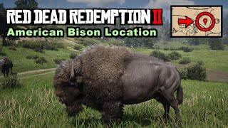 American Bison location  Red Dead Redemption 2 [upl. by Ostap457]