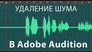 Как правильно убрать шум в Adobe Audition [upl. by Montagu909]