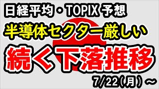 【日経平均・TOPIX】調整が続くと考えられる日本市場、半導体セクターに懸念材料【週間日本株予想 2024722～】 [upl. by Yellhsa486]