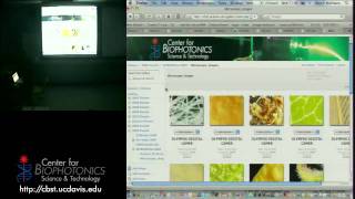 Handson Spectrophotometry with Light Sources [upl. by Desi790]