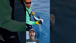 Catching a Mako Shark By Hand sharkfishing [upl. by Craw]