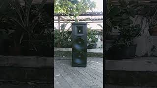 cek sound sidefill speaker acr fabolous 3060 12 inch tweeter wisdom de34 ceksound fabolous wisdom [upl. by Winikka]