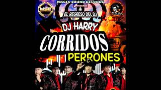 Corridos Perrones El Caballon 💽Dj Harry👑El Regreso Del DJ😎Magix Sound Récords💥 [upl. by Needan214]