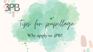 Pupillage at 3PB Barristers  why you should apply [upl. by Fadas800]