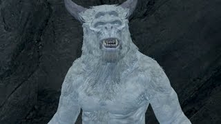 Skyrim DAWNGUARD FROST GIANT Amethyst Paragon LOCATION [upl. by Dougie]