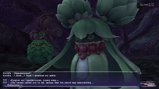 Final Fantasy XI 356 Adoulin Hide and Go Peak Ortharsyne [upl. by Aleksandr]