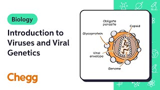 Introduction to Viruses and Viral Genetics  Biology [upl. by Flor553]