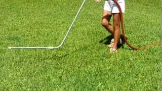 How To Fertilize A Lawn With Liquid Organic Fertilizer [upl. by Yaf451]