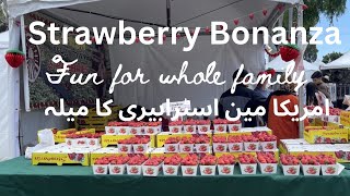 Strawberry Festival Memorial Day weekend امریکا مین اسٹرابیری کا میلہ [upl. by Nanoc996]