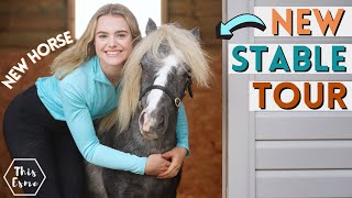 New Stable Tour Stable Renovation Series  This Esme AD [upl. by Proctor]