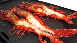 Carabineros a la Plancha [upl. by Ebba]