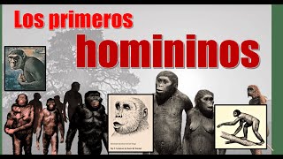 Los primeros homininos Línea evolutiva divergente entre humanos y simios  Alquimia del Saber V27 [upl. by Dorothy]