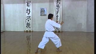 Ji in  Efthimios Karamitsos  Karate  Kata  Shotokan [upl. by Yetty]