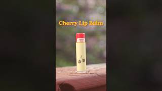 Making a song about chapstick shorts [upl. by Kay]