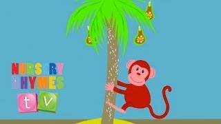 MONKEY  Original Song  Nursery Rhymes TV  English Songs For Kids [upl. by Ailemap]