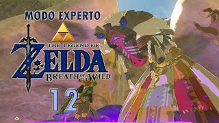 BREATH OF THE WILD 12 Kaoma y Gran Hada Malanya  Modo Experto [upl. by Crowell]