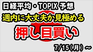 【日経平均・TOPIX】金曜日の大幅調整と41000円の攻防もここで下げ止まるかは不透明。週内は押し目買いのタイミングを探る展開に【週間日本株予想 2024715～】 [upl. by Assened]