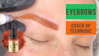 How to correct grey and blue eyebrows Cover up old pmu brows [upl. by Teyut]