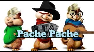 Pache Pache  Alvin y Las Ardillas Cumbia 2024 [upl. by Aan910]