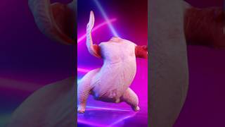 Twurkey is never under cover It will always dance for you youtubeshorts dance twurkey [upl. by Glennie909]