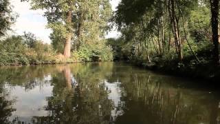 Balade en barque dans le Marais poitevin [upl. by Ahk]