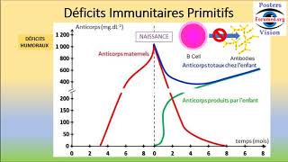 Déficit immunitaire primaire Humoral Cellulaire Combiné sévère Systeme innés adaptatifs Héréditaire [upl. by Gora]