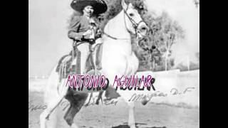 CABALLOS DE PATAS BLANCASCON HERRADURAS SE ACEROANTONIO AGUILAR [upl. by Tekcirk]