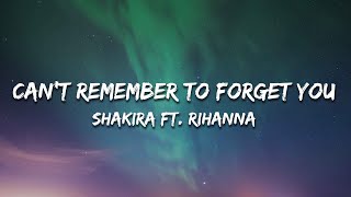 Shakira  Cant Remember to Forget You Official Video ft Rihanna  YouTube Music [upl. by Atnuhs]