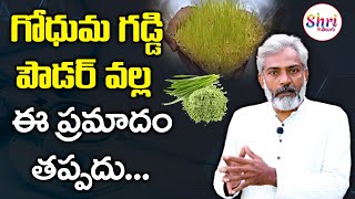 Wheatgrass Juice  Wheatgrass Powder  Health Benefits of Wheatgrass  Shritv Telugu [upl. by Rosario595]