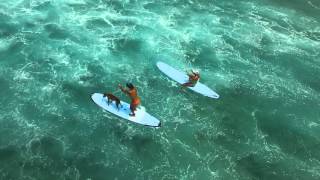 Surfing at Kahaluu Beach Park Kona Hawaii [upl. by Yllor275]