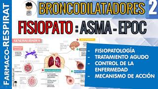 CORRELACIÓN Farmacología y Fisiopatología ASMA EPOC MECANISMOS DE ACCIÓN FARMACOLÓGICA ESQUEMA 2 [upl. by Loise]