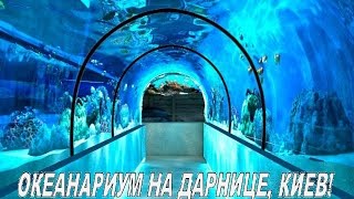 Океанариум на Дарнице КиевOceanarium on Darnitsa  Kiev [upl. by Viccora]