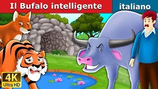 Il Bufalo intelligente  Intelligent Buffalo in Italian  Fiabe Italiane ItalianFairyTales [upl. by Helprin]