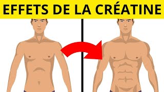 Quel effet la créatine a telle sur vos gains musculaires [upl. by Yobybab842]