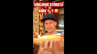 ÄTER EN ALLDLES FÖR STOR KORV 🌭 [upl. by Garwood]