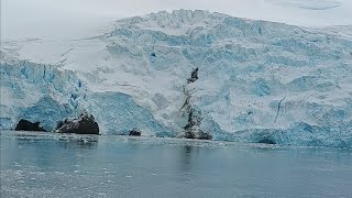 Cruising In Antarctica  Icebergs In The Ocean [upl. by Rebmeced911]