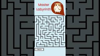 wonderfull hamster master of labyrinth shorts animals [upl. by Einaj]