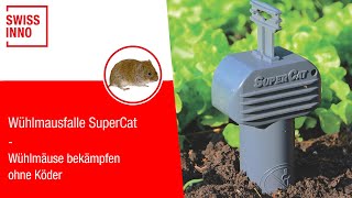 Wühlmausfalle SuperCat SWISSINNO [upl. by Clyte]